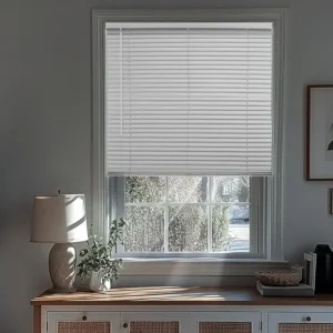 Blinds for Windows